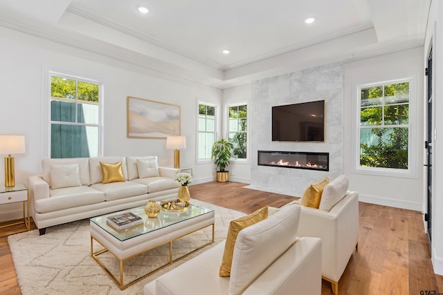 living room with a large fireplace, a raised ceiling, light wood-type flooring, and a wealth of natural light