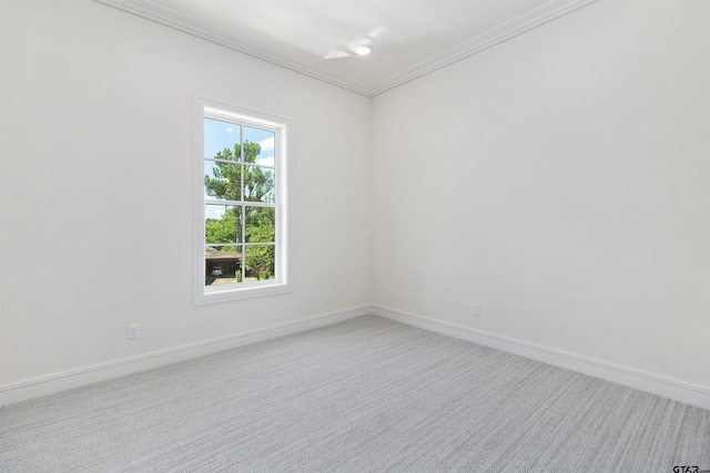 empty room featuring carpet flooring and ornamental molding