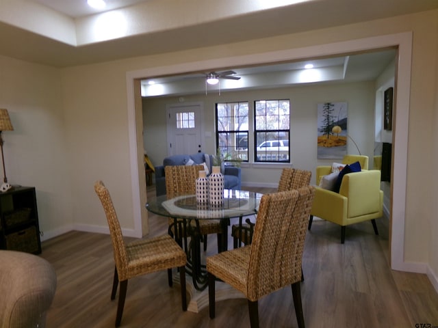 dining space featuring dark hardwood / wood-style flooring and a tray ceiling