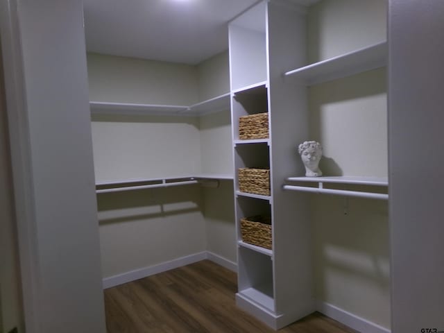 spacious closet featuring dark hardwood / wood-style floors