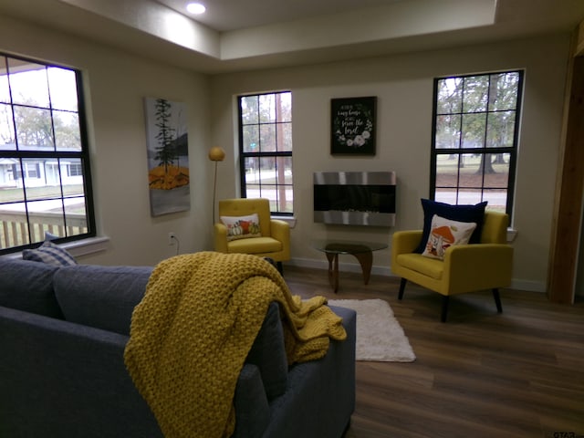 interior space featuring a wealth of natural light and dark wood-type flooring