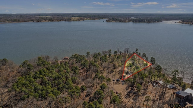 LOT6 Lost Pnes, Pittsburg, TX 75686