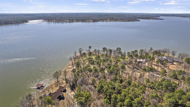 LOT6 Lost Pnes, Pittsburg, TX 75686