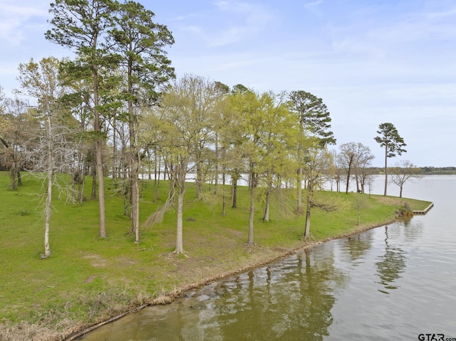 LOT6 Lost Pnes, Pittsburg, TX 75686