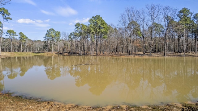 LOT6 Lost Pnes, Pittsburg, TX 75686