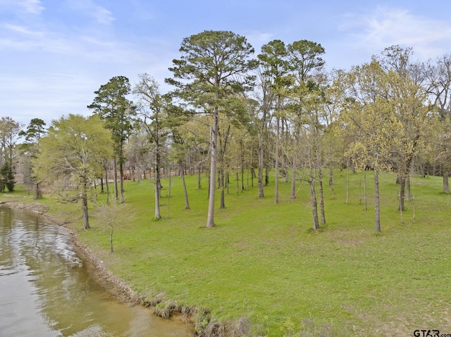 LOT6 Lost Pnes, Pittsburg, TX 75686