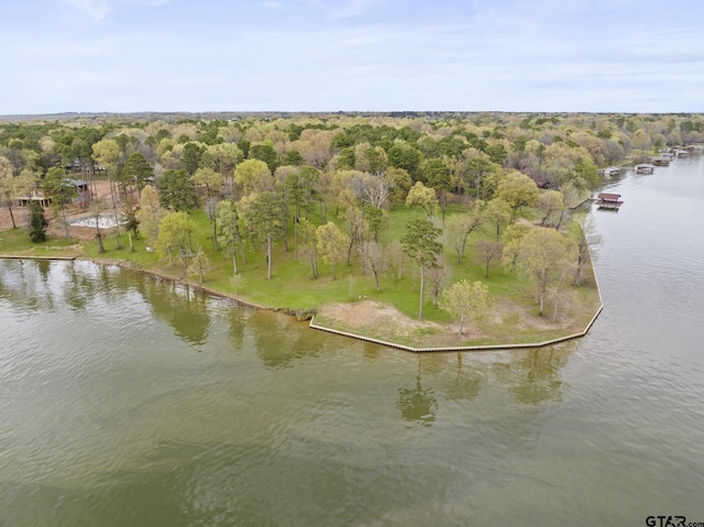 LOT6 Lost Pnes, Pittsburg, TX 75686