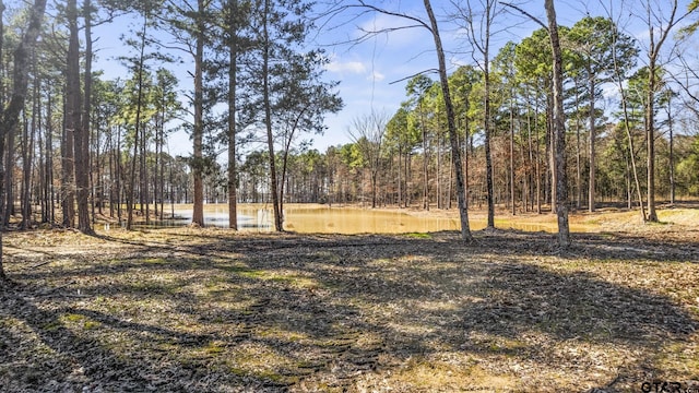 LOT6 Lost Pnes, Pittsburg, TX 75686