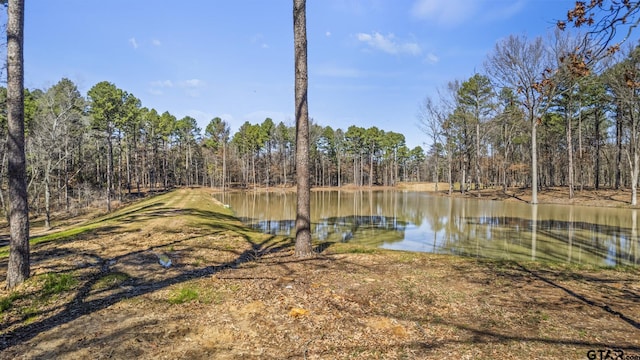 LOT6 Lost Pnes, Pittsburg, TX 75686