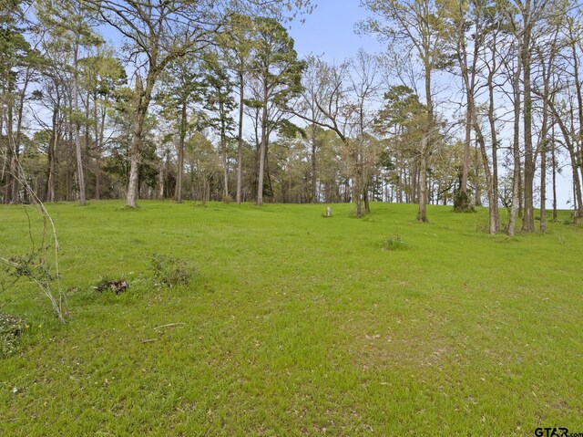 LOT6 Lost Pnes, Pittsburg, TX 75686