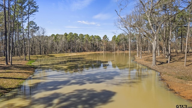 LOT6 Lost Pnes, Pittsburg, TX 75686
