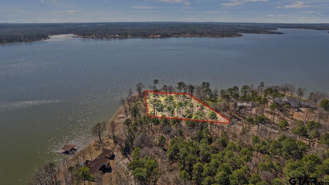 LOT6 Lost Pnes, Pittsburg, TX 75686