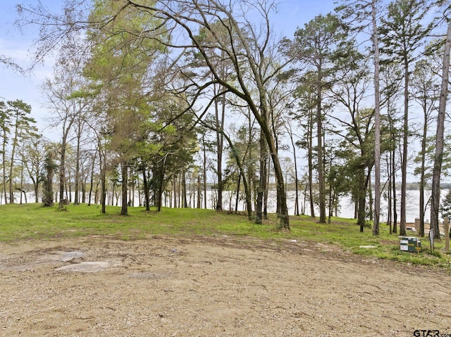 LOT6 Lost Pnes, Pittsburg, TX 75686