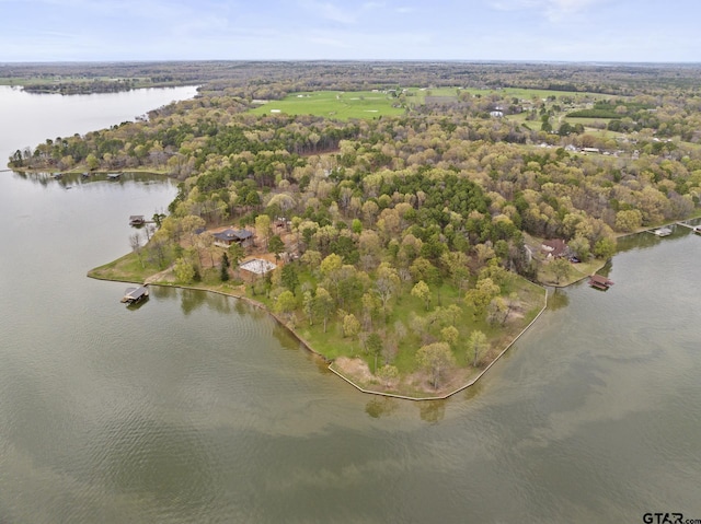 LOT6 Lost Pnes, Pittsburg, TX 75686
