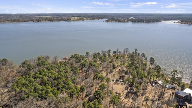 LOT6 Lost Pnes, Pittsburg, TX 75686