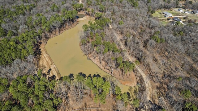 LOT6 Lost Pnes, Pittsburg, TX 75686