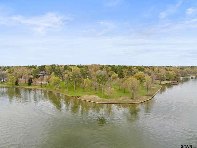 LOT6 Lost Pnes, Pittsburg, TX 75686