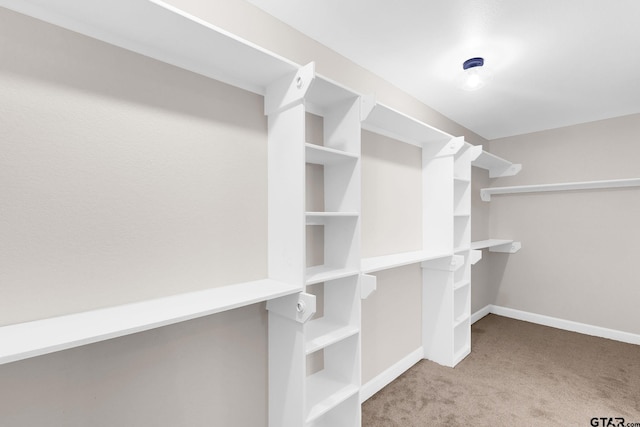 walk in closet with light colored carpet