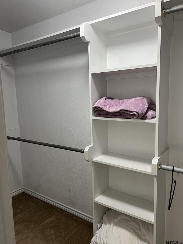 spacious closet featuring a barn door and dark carpet