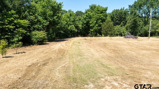 1467 Lawrence St, Trinidad, TX 75163 - photo 21