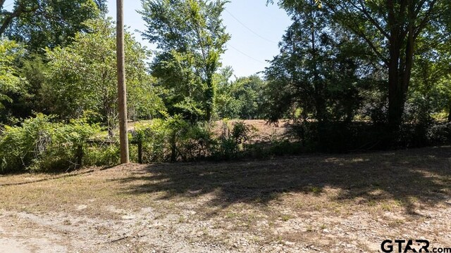 1467 Lawrence St, Trinidad, TX 75163 - photo 17