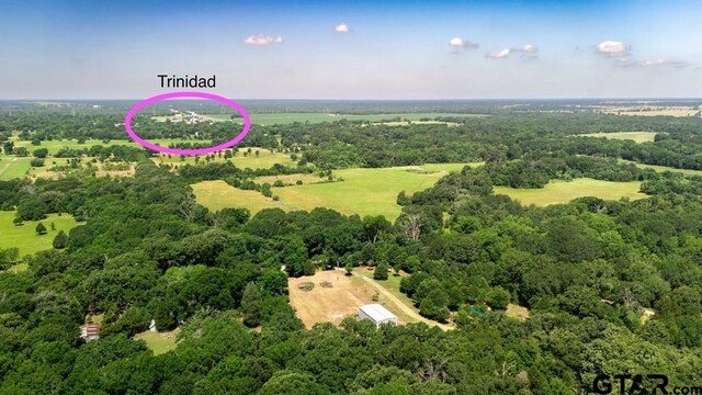 1467 Lawrence St, Trinidad, TX 75163 - photo 10