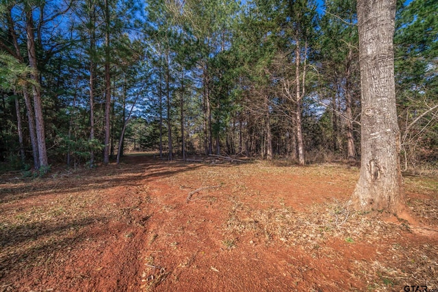 24579 Crk 4117, Frankston, TX 75763 - view of woods