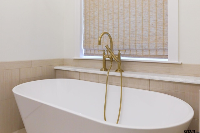 details with a freestanding bath, a wainscoted wall, and a sink