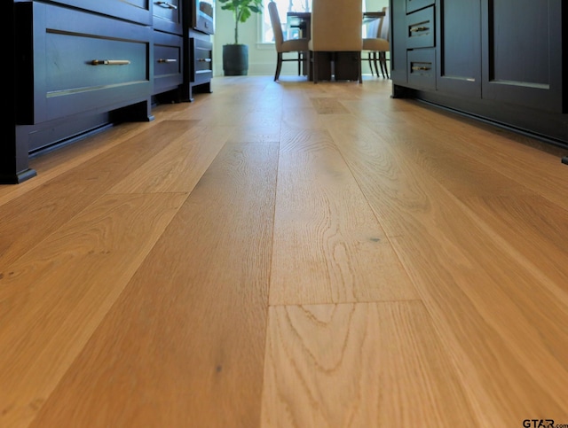 interior details featuring wood finished floors