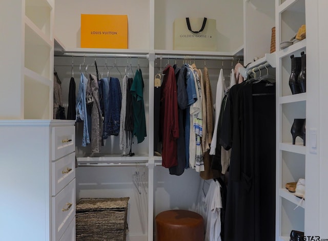 view of spacious closet