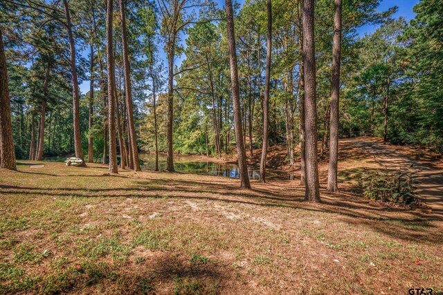431 Gifford St, Rusk, TX 75785 - view of grassy yard