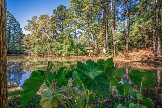 431 Gifford St, Rusk, TX 75785 - water view