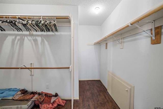 spacious closet with wood finished floors