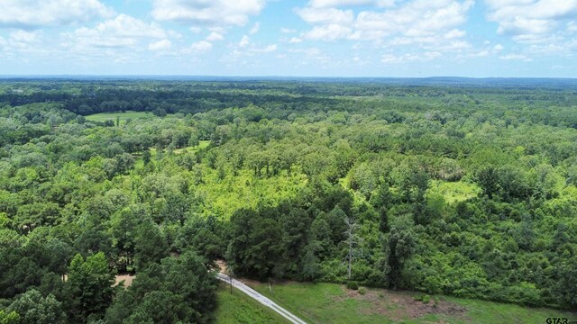 0 County Road 2155, Troup, TX 75789 - photo 8
