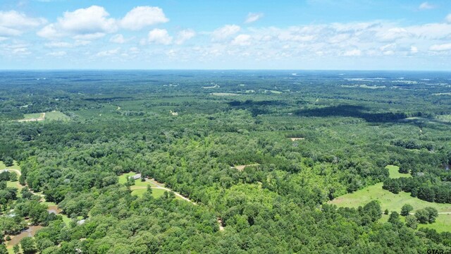 0 County Road 2155, Troup, TX 75789 - photo 3