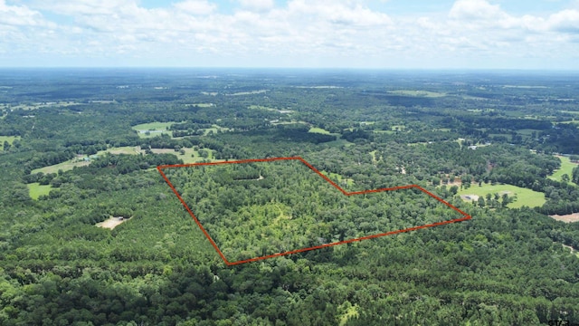 0 County Road 2155, Troup, TX 75789 - photo 1