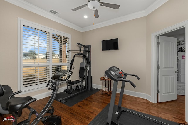 exercise room with crown molding, ceiling fan, and dark hardwood / wood-style flooring