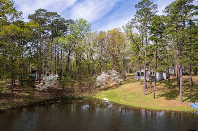 102 King Henry Rd, Scroggins, TX 75480 - view of water feature