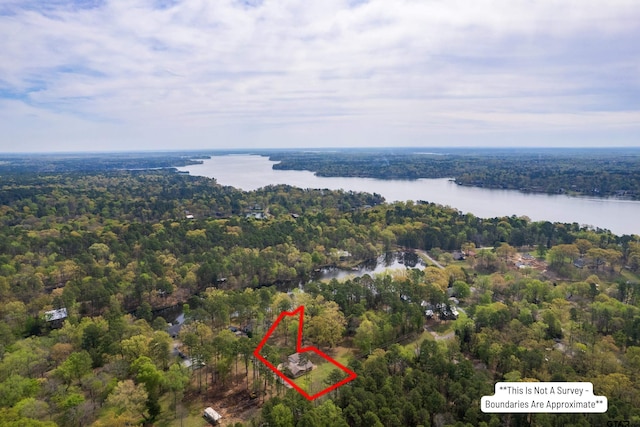 102 King Henry Rd, Scroggins, TX 75480 - bird's eye view featuring a wooded view and a water view
