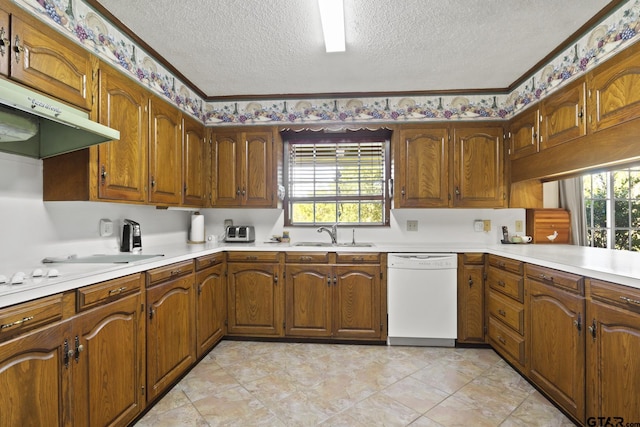 kitchen featuring dishwasher, a textured ceiling, a healthy amount of sunlight, and sink