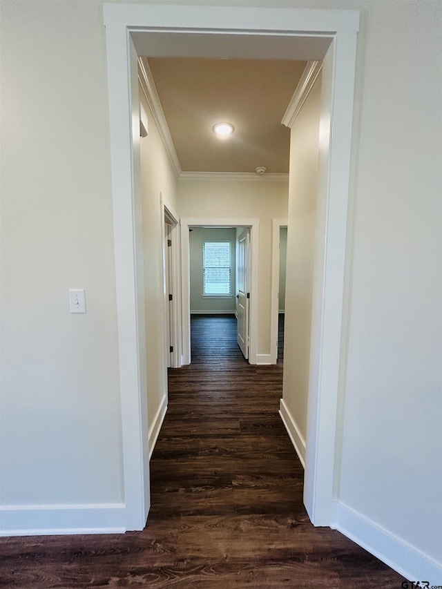 15033 High Country Acres Ln, Tyler, TX 75706 - corridor featuring crown molding and dark wood-style flooring