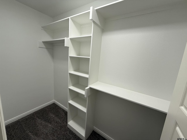 spacious closet with carpet