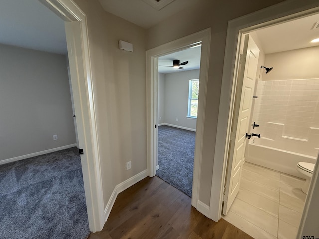 hallway featuring carpet floors