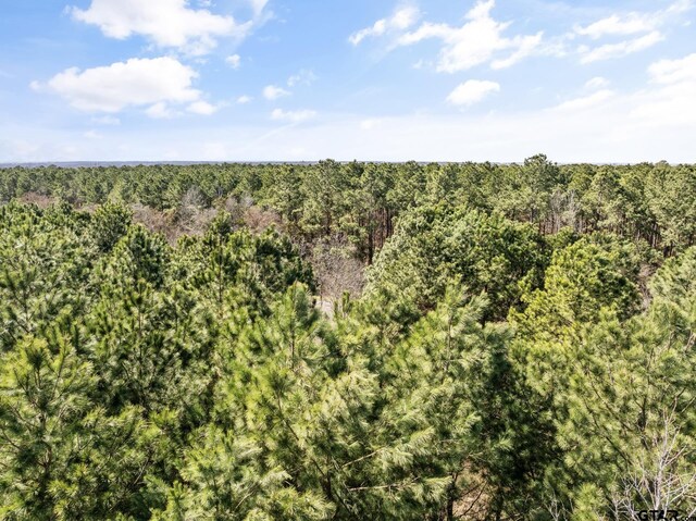 LOT2 Fm 556, Pittsburg, TX 75686