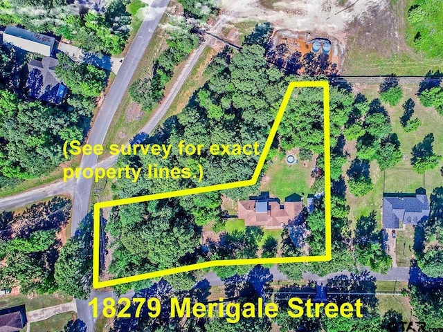 18278 Merigale Dr, Troup, TX 75789 - photo 44