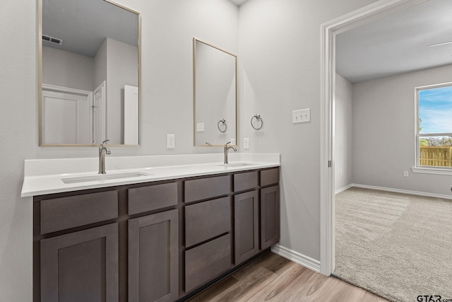 bathroom featuring wood-type flooring and vanity