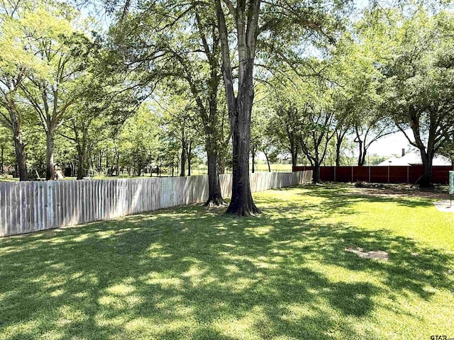 2107 Baylor Dr, Jacksonville, TX 75766 - view of yard