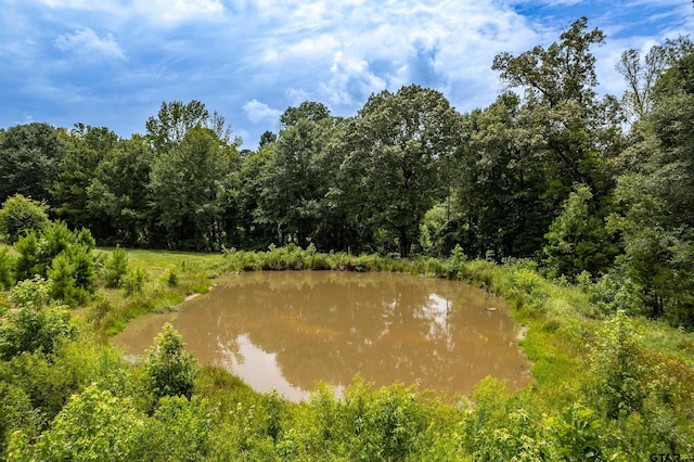 14049 Fm 757, Winona, TX 75792 - photo 32