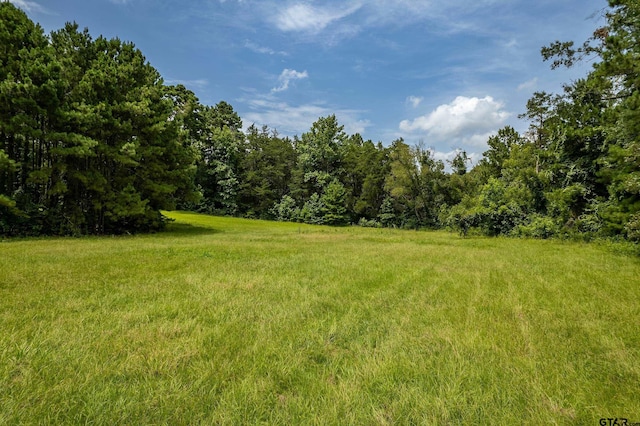 14049 Fm 757, Winona, TX 75792 - photo 37