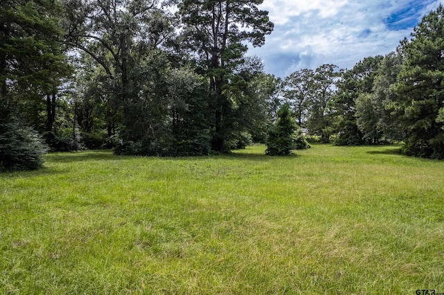 14049 Fm 757, Winona, TX 75792 - photo 38